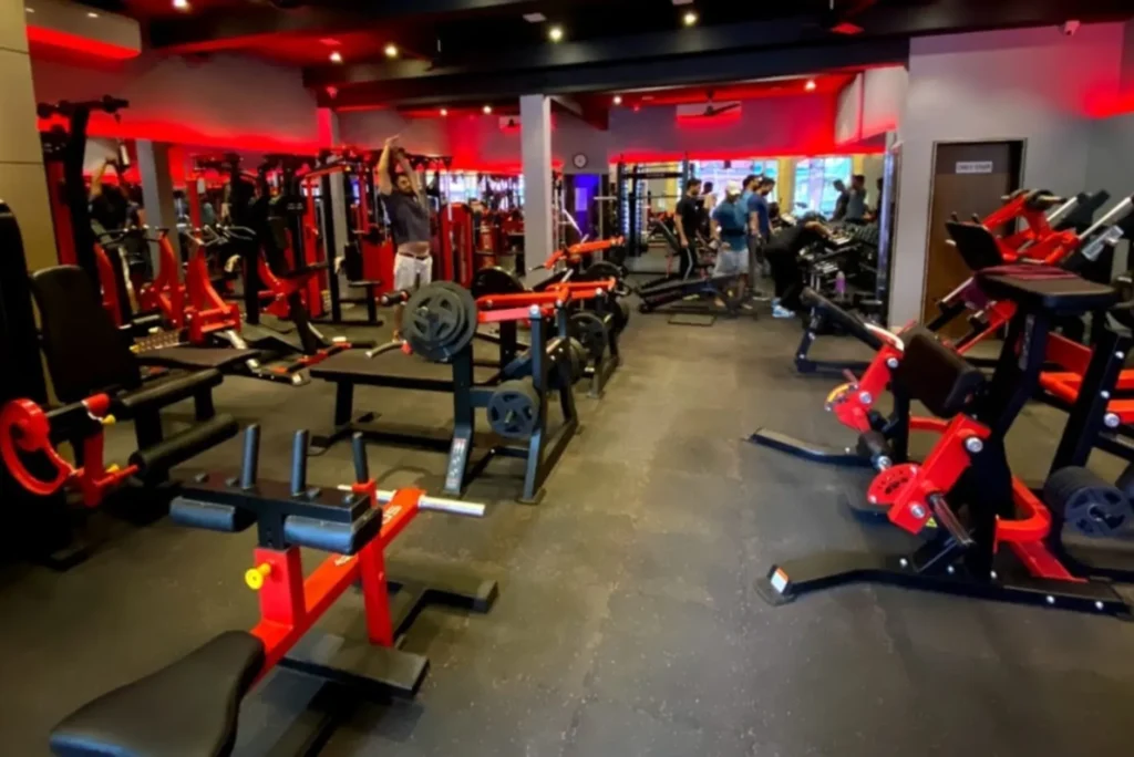 what is iron paradise gym