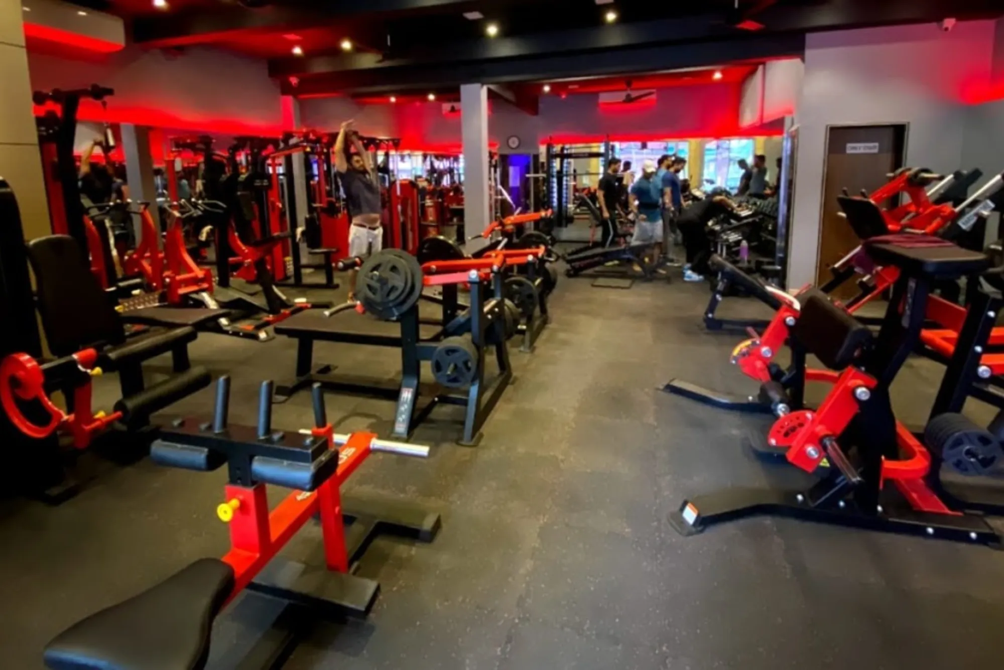 what is iron paradise gym