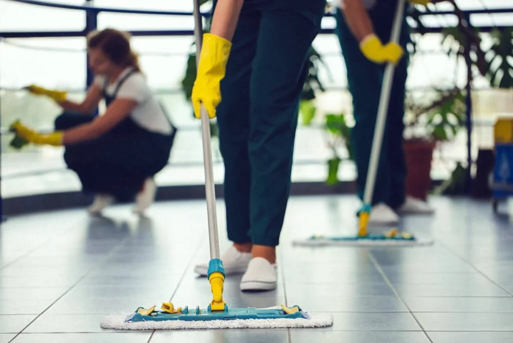 Maid Cleaning